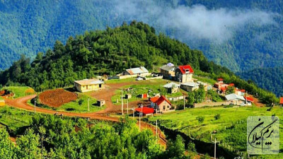 پارک جنگلی هلودشت املش